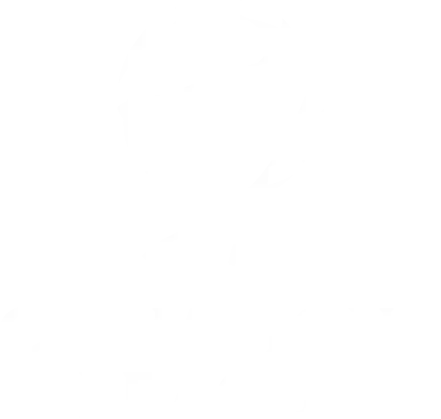 Champions
